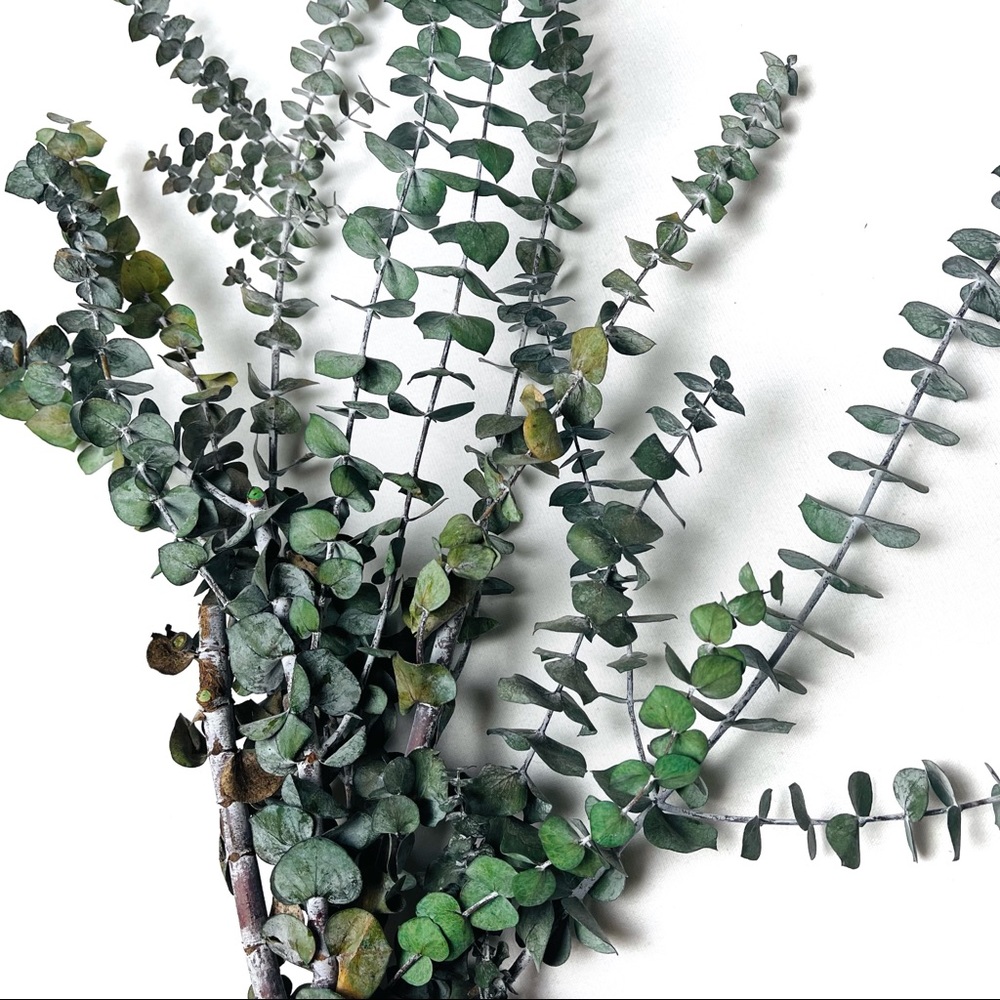 (2/$20) Faux Eucalyptus Stems